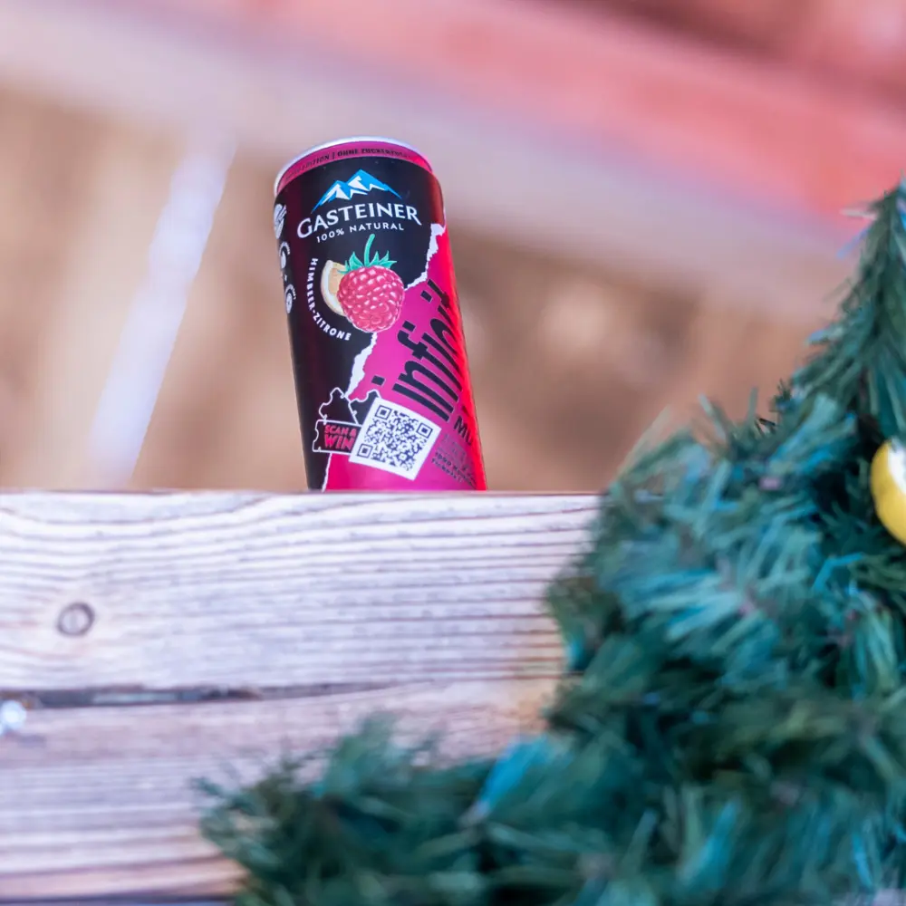 Gasteiner Alm Kaiser Wiesn 2014