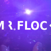 Mr. Flock