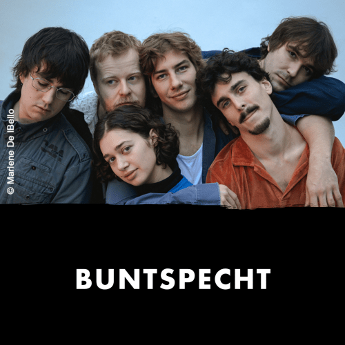 Buntspecht
