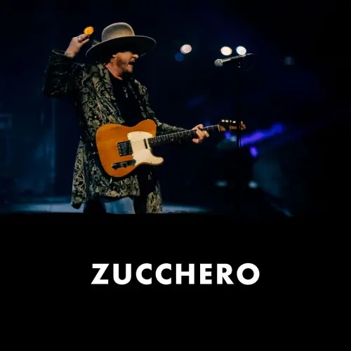 Zucchero