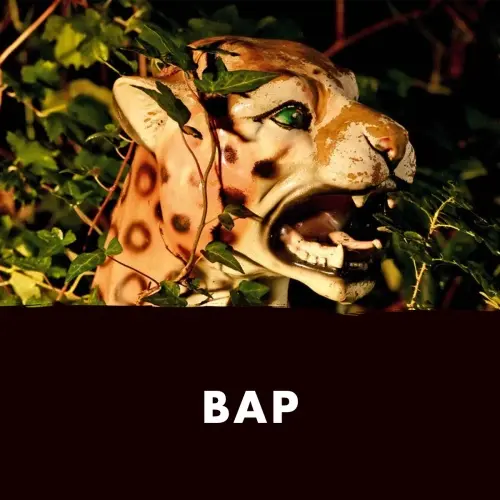 BAP